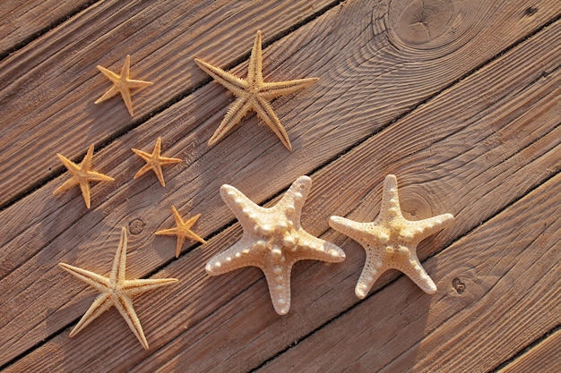 Stelle marine su un molo di legno versate su un ponte di legno