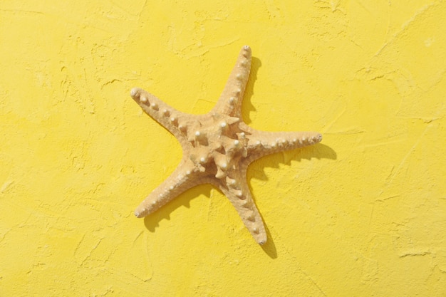 Photo starfish on yellow surface