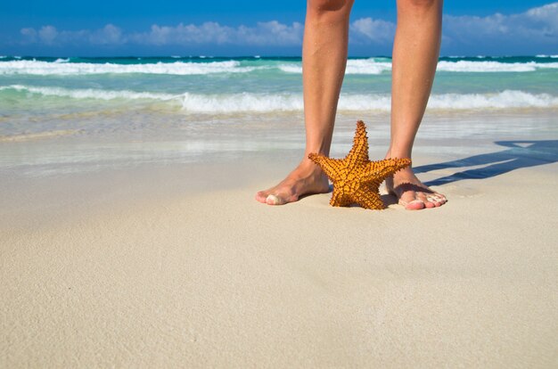 Photo starfish