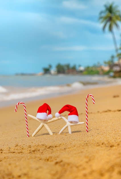 Starfishes on the beach with Santa hats and candy canes