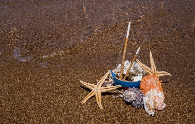 Starfishes, pearls, and amazing seashells close up