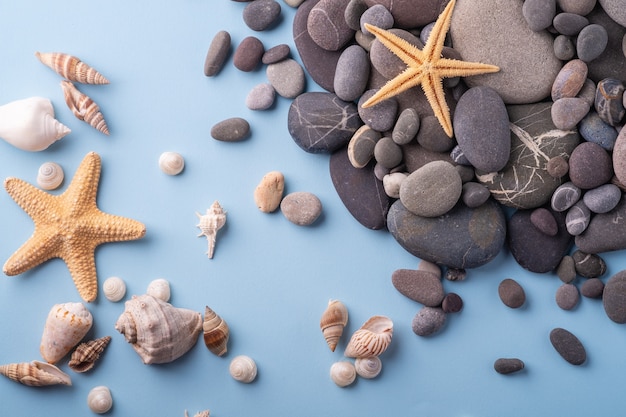 Starfishes, seashells and pebbles on blue surface