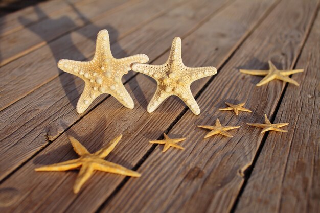 Starfishes on a wooden background.