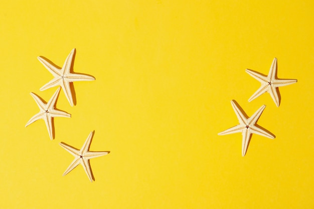 Photo starfishes on yellow, space for text