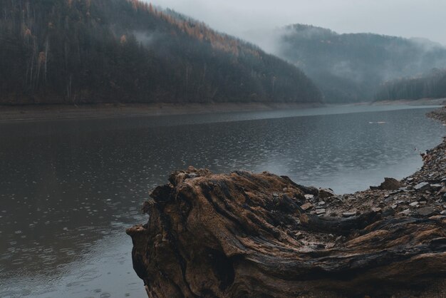 Starina reservoir in National park Poloniny