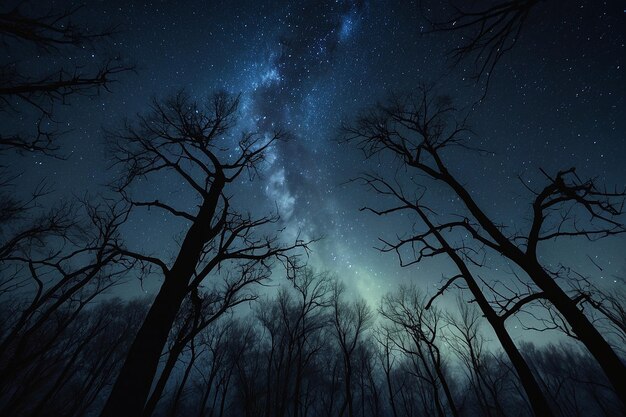 写真 旋回する霧の中の星々に照らされた天井