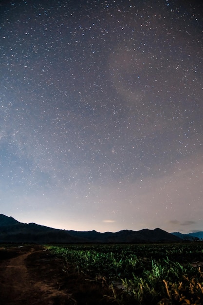 Звездное ночное небо над полем с горами на заднем плане