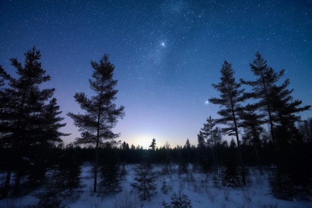 Звездное ночное небо над заснеженным лесом