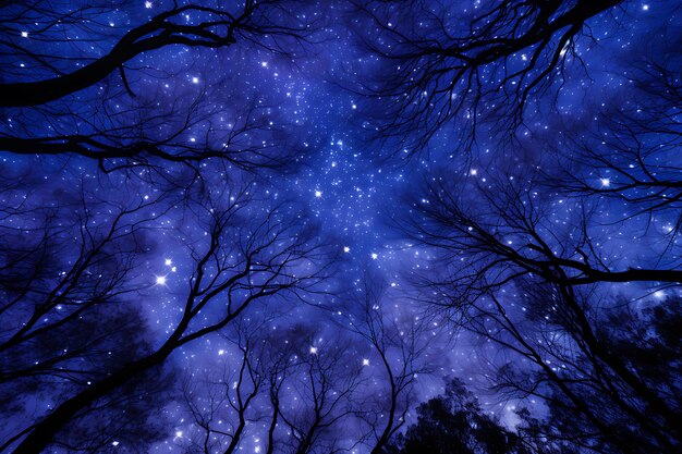 Photo starry night sky