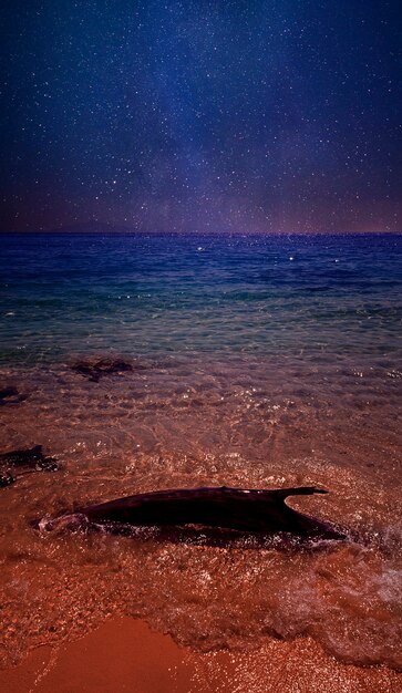 Foto cielo stellato della spiaggia di notte disegno collage