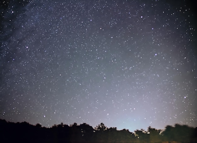 頭上の星空は無数の光で永遠に続くようだ