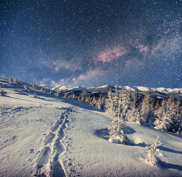 雪に覆われた冬の夜の星空。幻想的な天の川