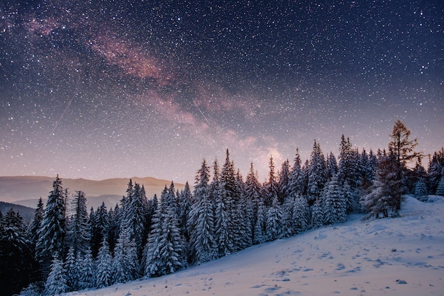 雪に覆われた冬の夜の星空。幻想的な天の川