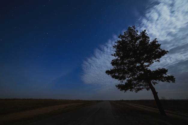 Photo stars in the night sky with clouds over the road