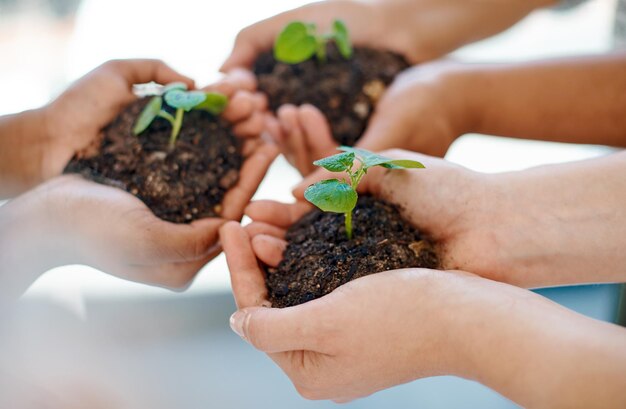 Start planting your seeds of success today Cropped shot of an unrecognizable group of businesswomen holding plants growing out of soil inside an office