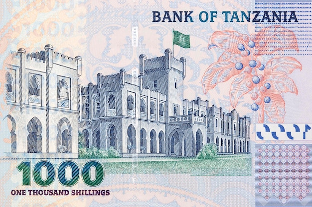 Statehouse from Tanzanian money