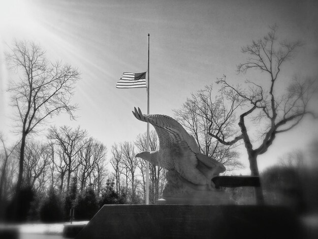 Photo statue and american flag against sky