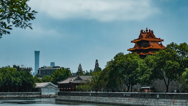 天空に照らされた木や建物の中の像