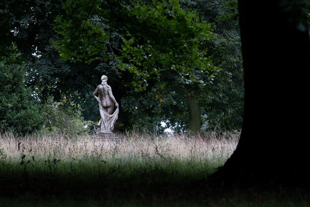 Photo statue amidst trees on field