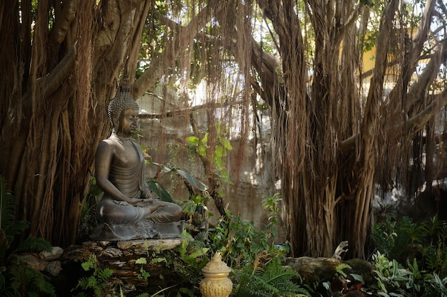 Photo statue amidst trees in forest