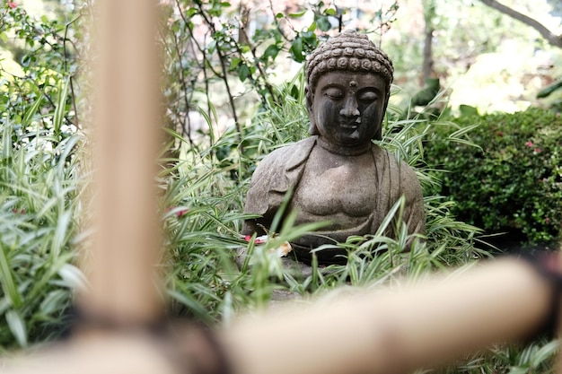 樹木の中の像