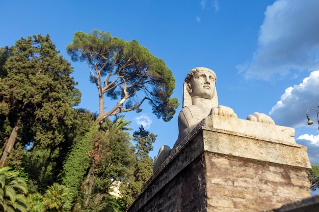 A statue of an ancient lionsphinx stands in front of a pine tree in Roma Italy