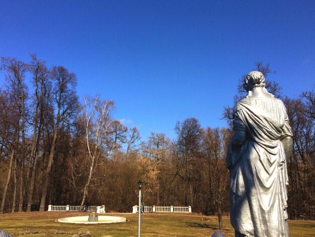 写真 晴れた空を背景に公園の像