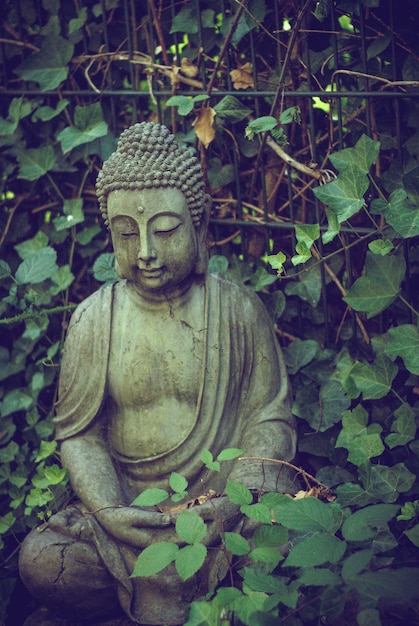 植物と木の反対側にある仏像