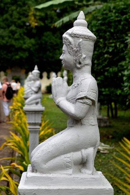 Foto statua di buddha contro il tempio