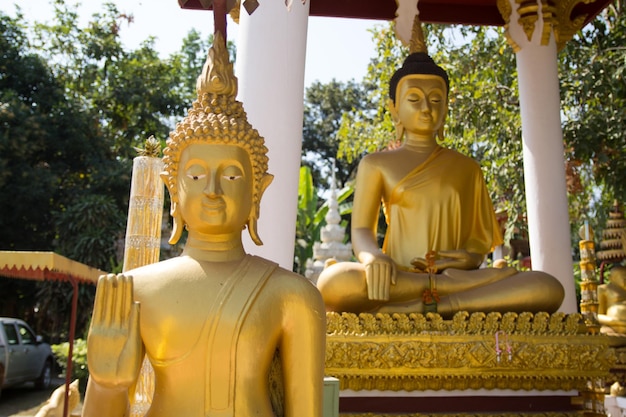 Foto statua di buddha contro gli alberi