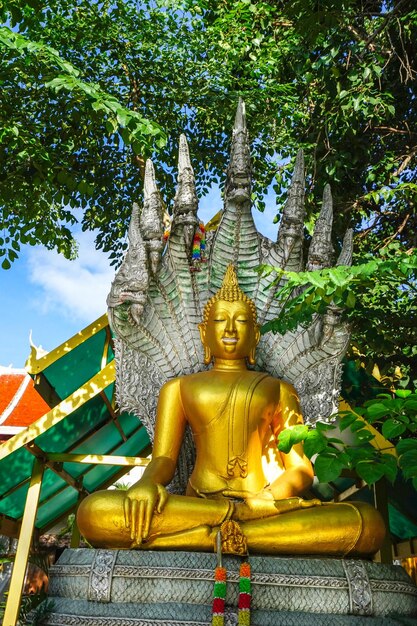 Photo statue of buddha against trees