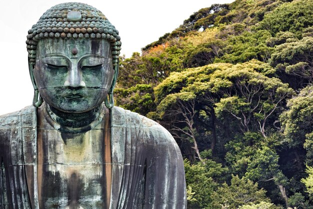 Photo statue of buddha against trees