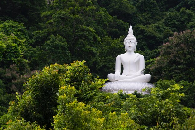 Foto statua di buddha in mezzo agli alberi