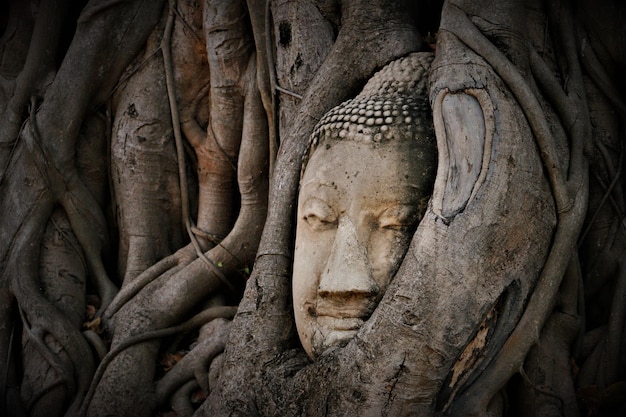 Foto statua di buddha nel tempio