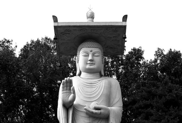 A statue of buddha with a hat on its head and the words buddha on it