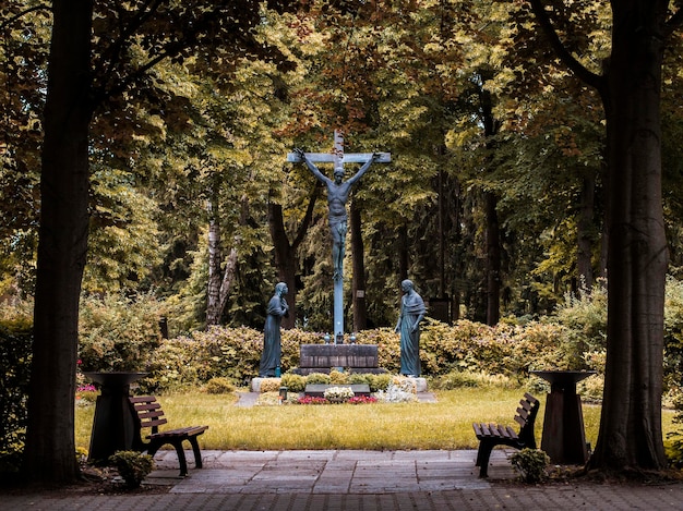 Foto statua in cimitero contro gli alberi