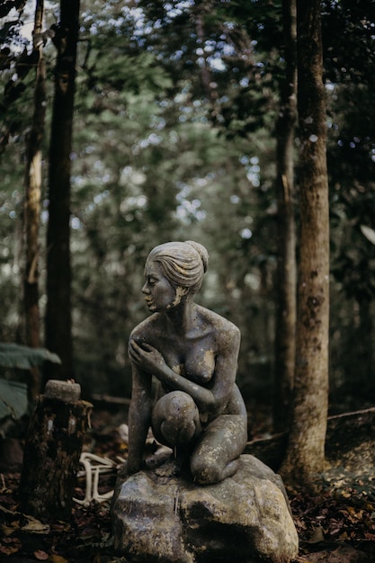 Photo statue in forest