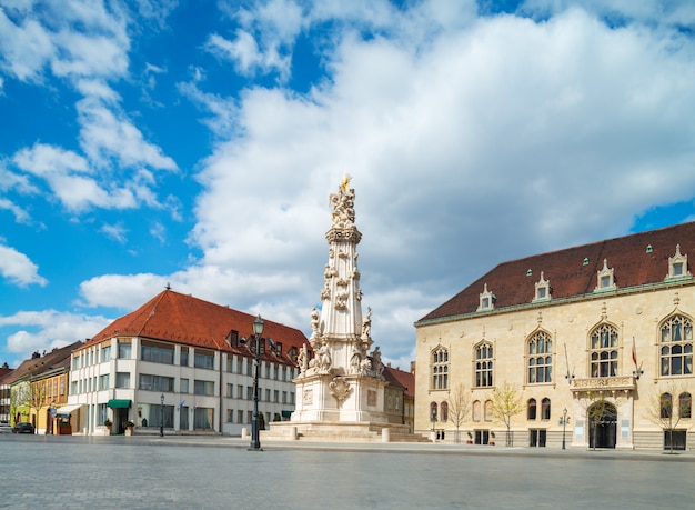 Statua della santissima trinità e grouinds di buda castle a budapest