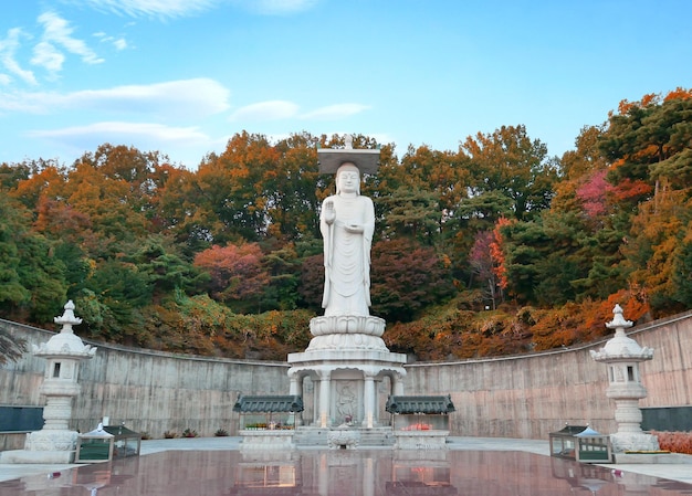 写真 建物の前にある像