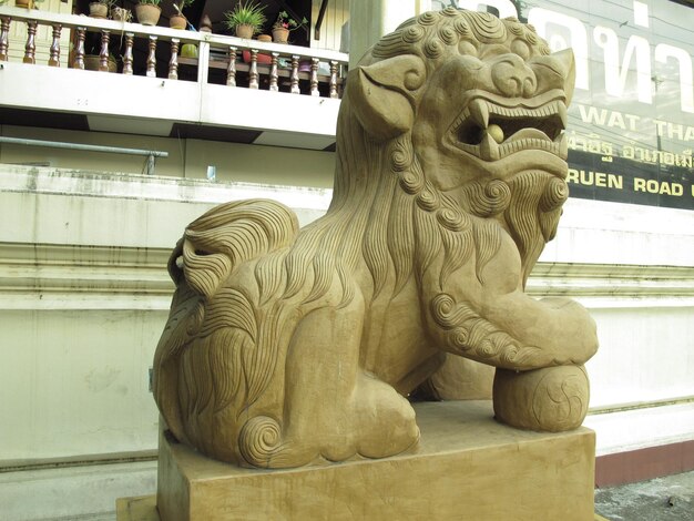 Foto statua di leone per edificio