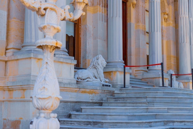 a statue of a lion is on the steps of a building