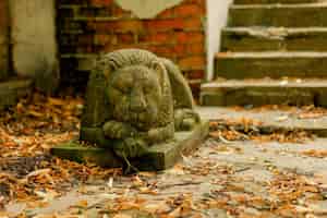 Photo statue of a lying lion made of stone on a blurred background