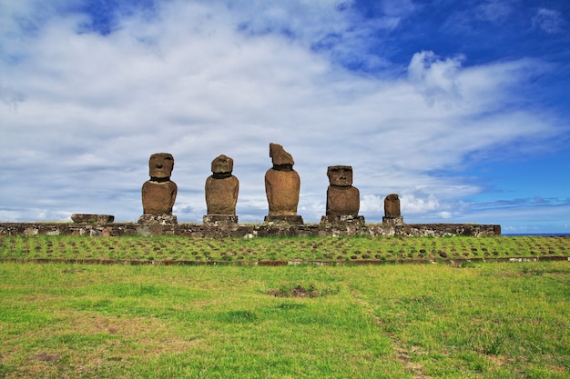 The statue Moai in Ahu Tahai on Easter Island of Chile