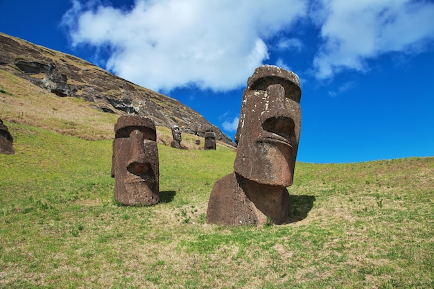 The statue Moai in Rano Raraku in Rapa Nui Easter Island of Chile