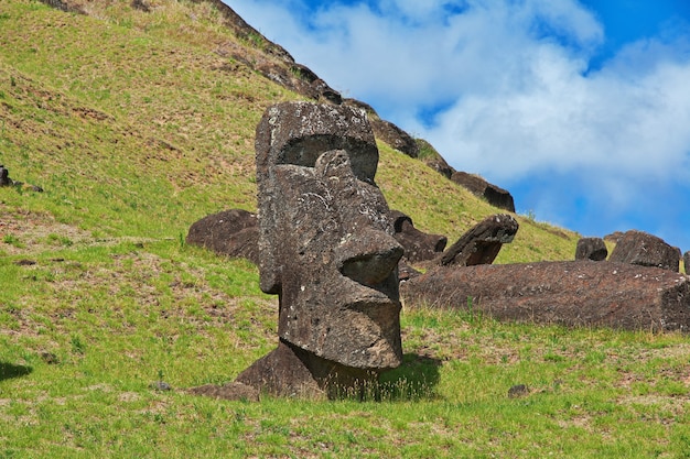 The statue Moai in Rano Raraku in Rapa Nui Easter Island of Chile