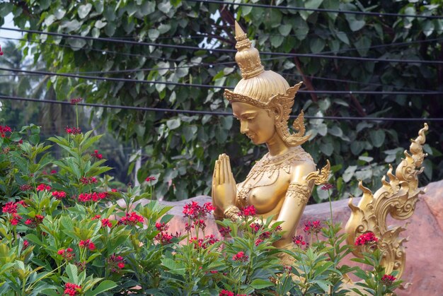 Фото Статуя будды напротив растений