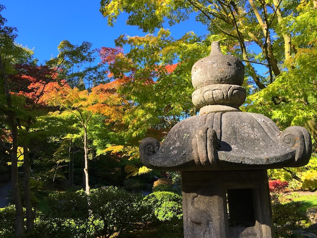 写真 公園の木の像