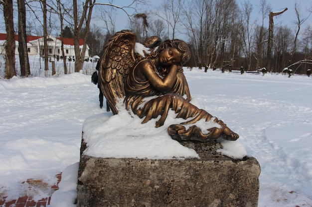 Фото Статуя на покрытом снегом ландшафте