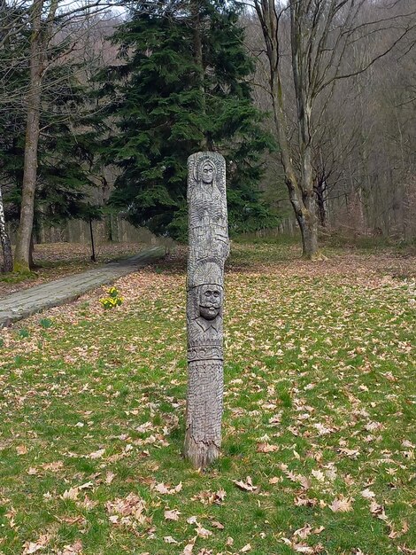 나무에 조각된 이교도 신의 동상이 예배 장소의 풀밭에 있는 숲 속에 서 있습니다.