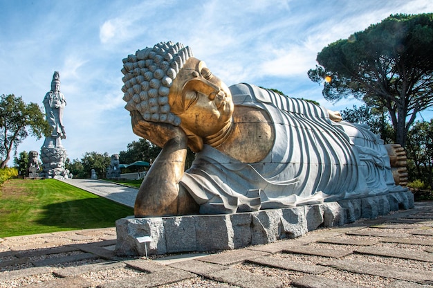 Foto statua nel parco contro il cielo